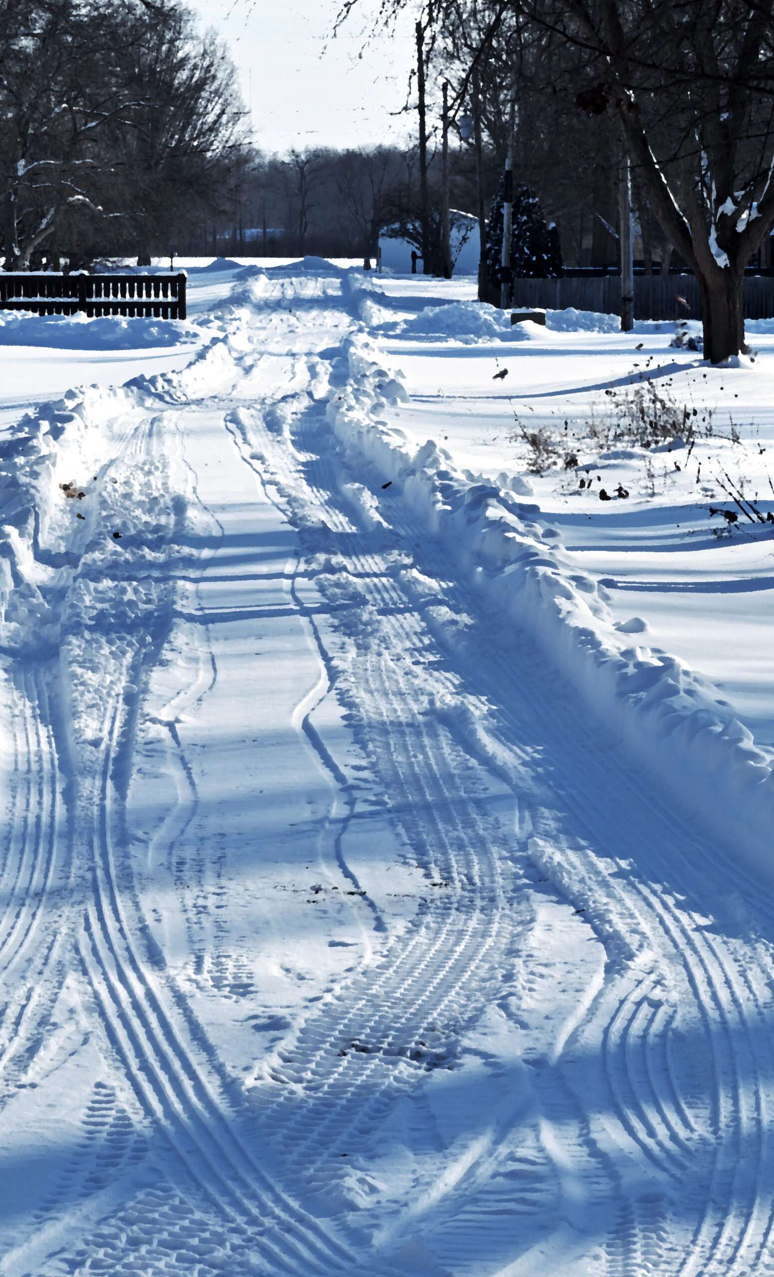 behind the great oaks