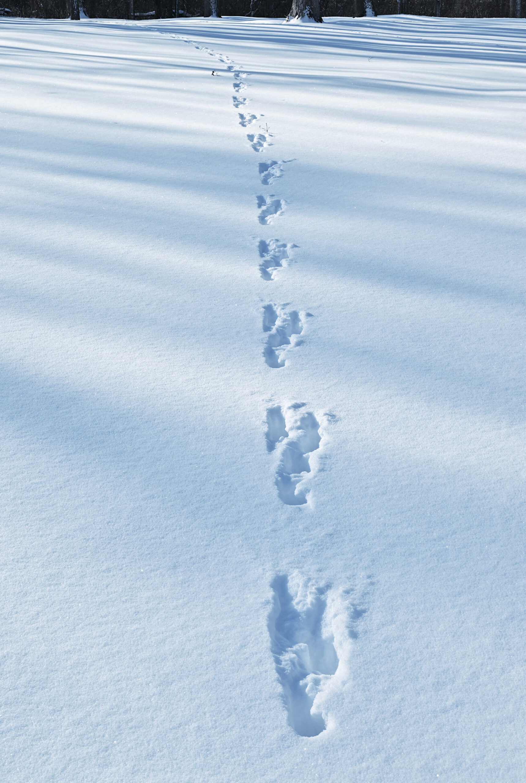 The shadows lengthen