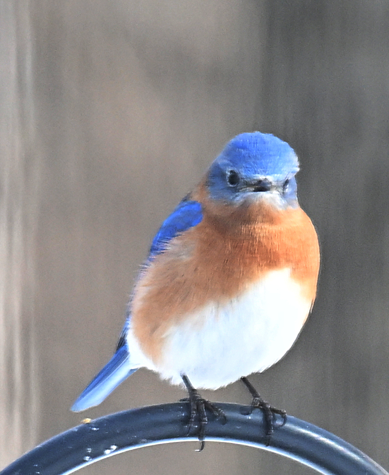 they have found strength